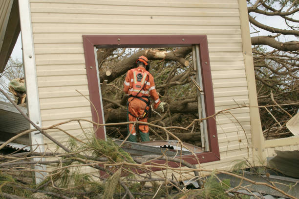 Best Root Management and Removal  in Fredericksburg, IA